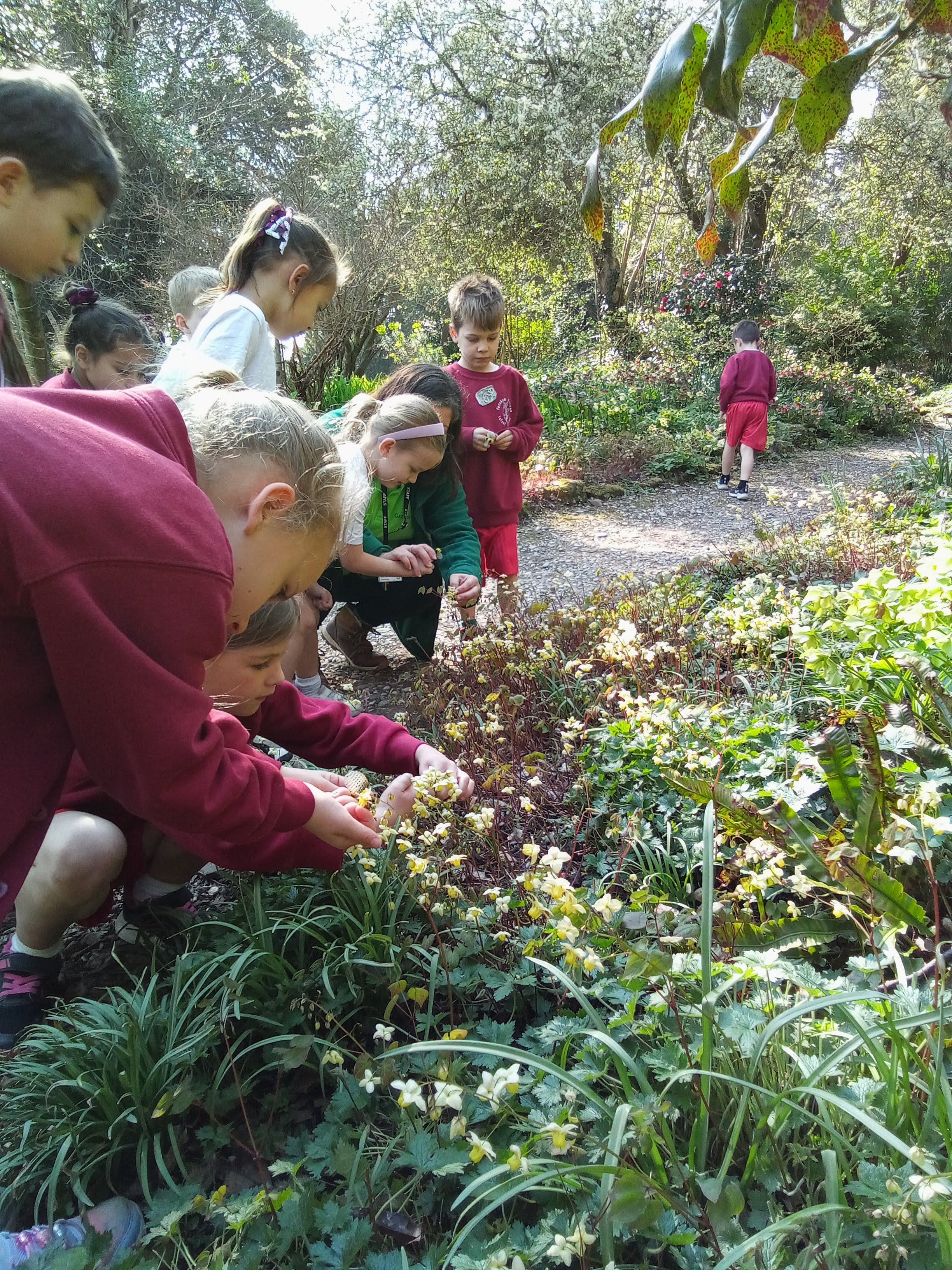 Hedgehogs class photo