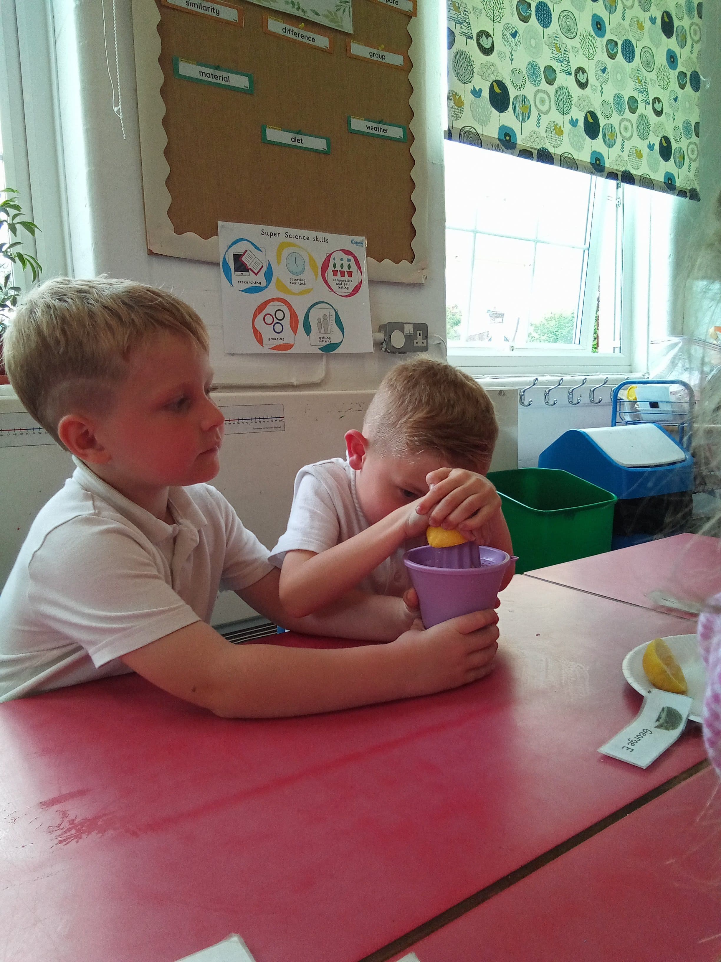 Hedgehogs class photo