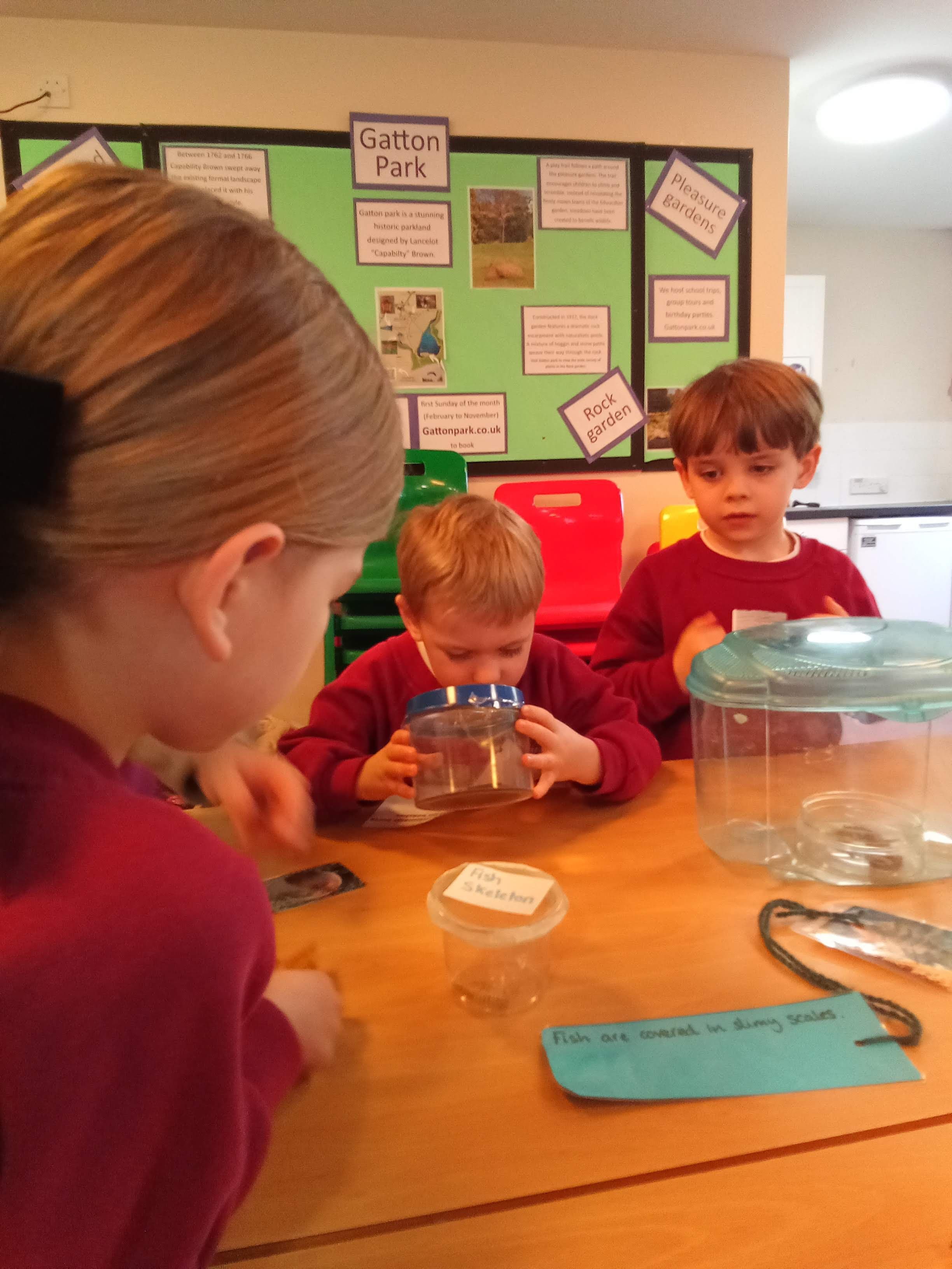 Hedgehogs class photo