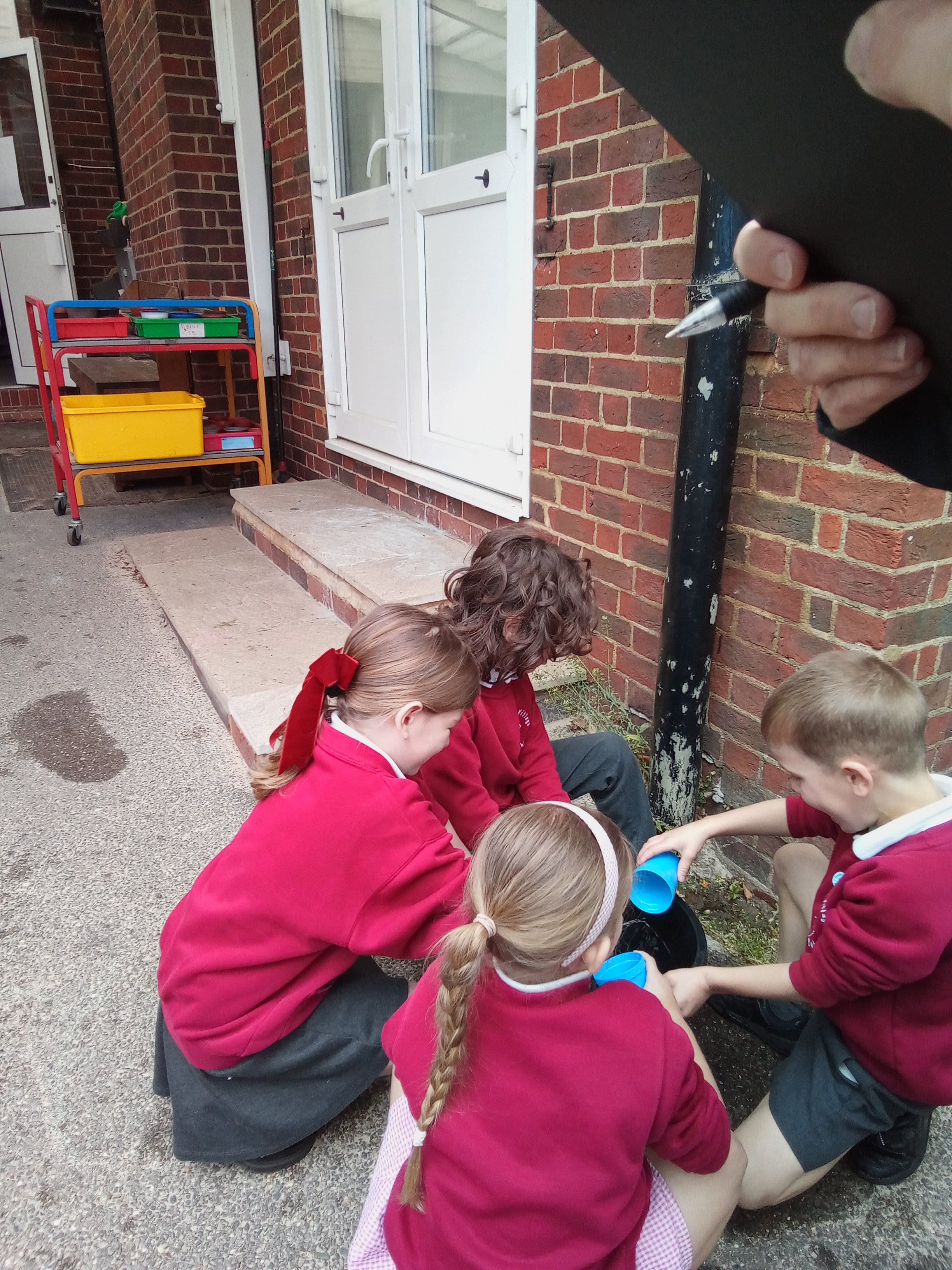 Hedgehogs class photo