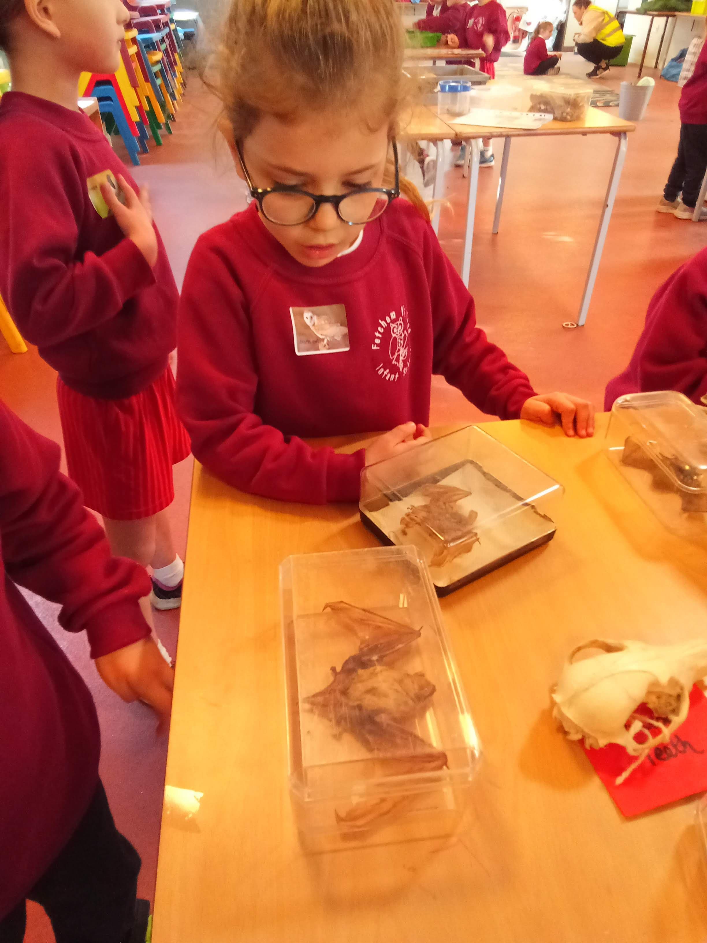 Hedgehogs class photo