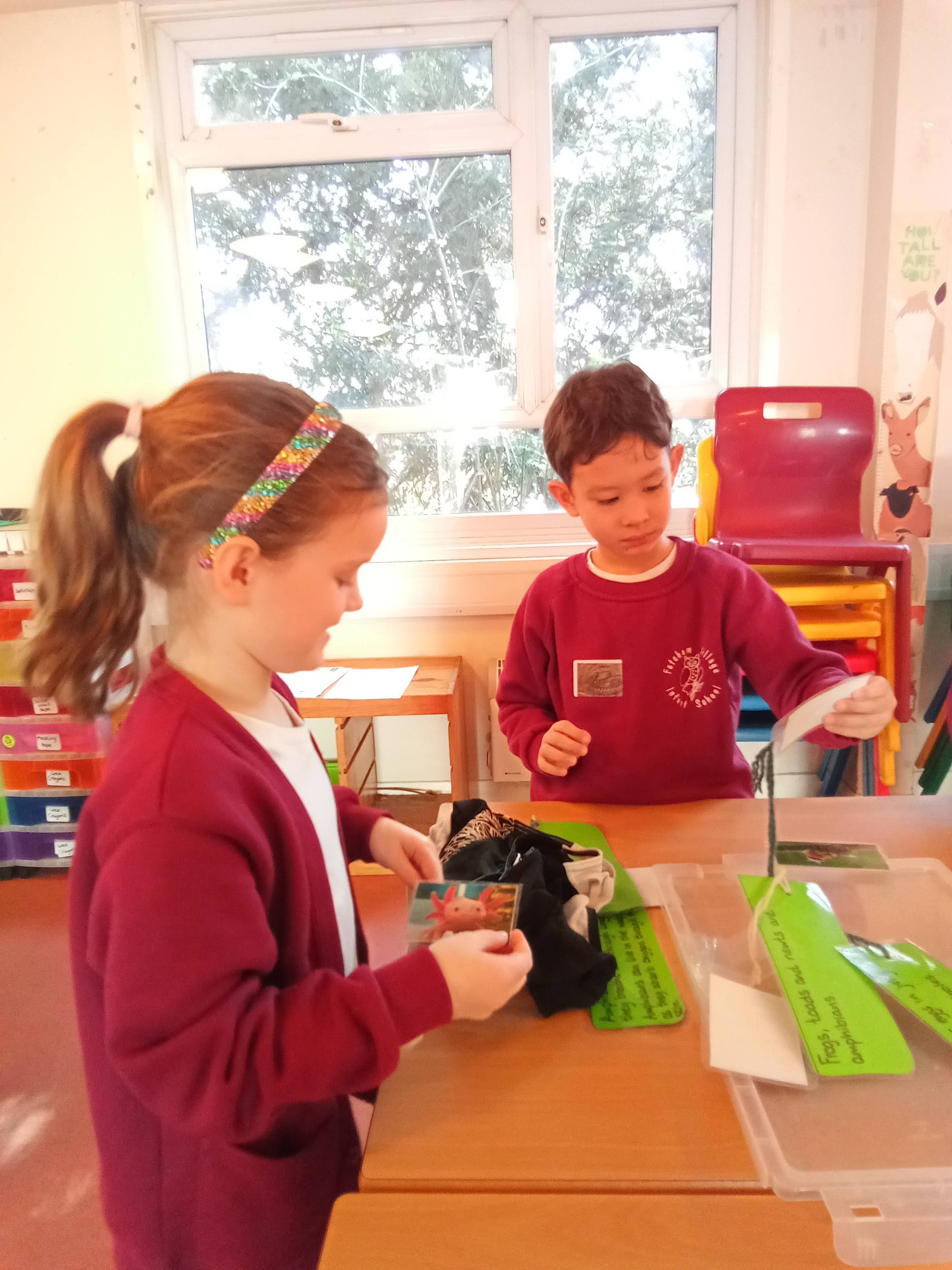 Hedgehogs class photo