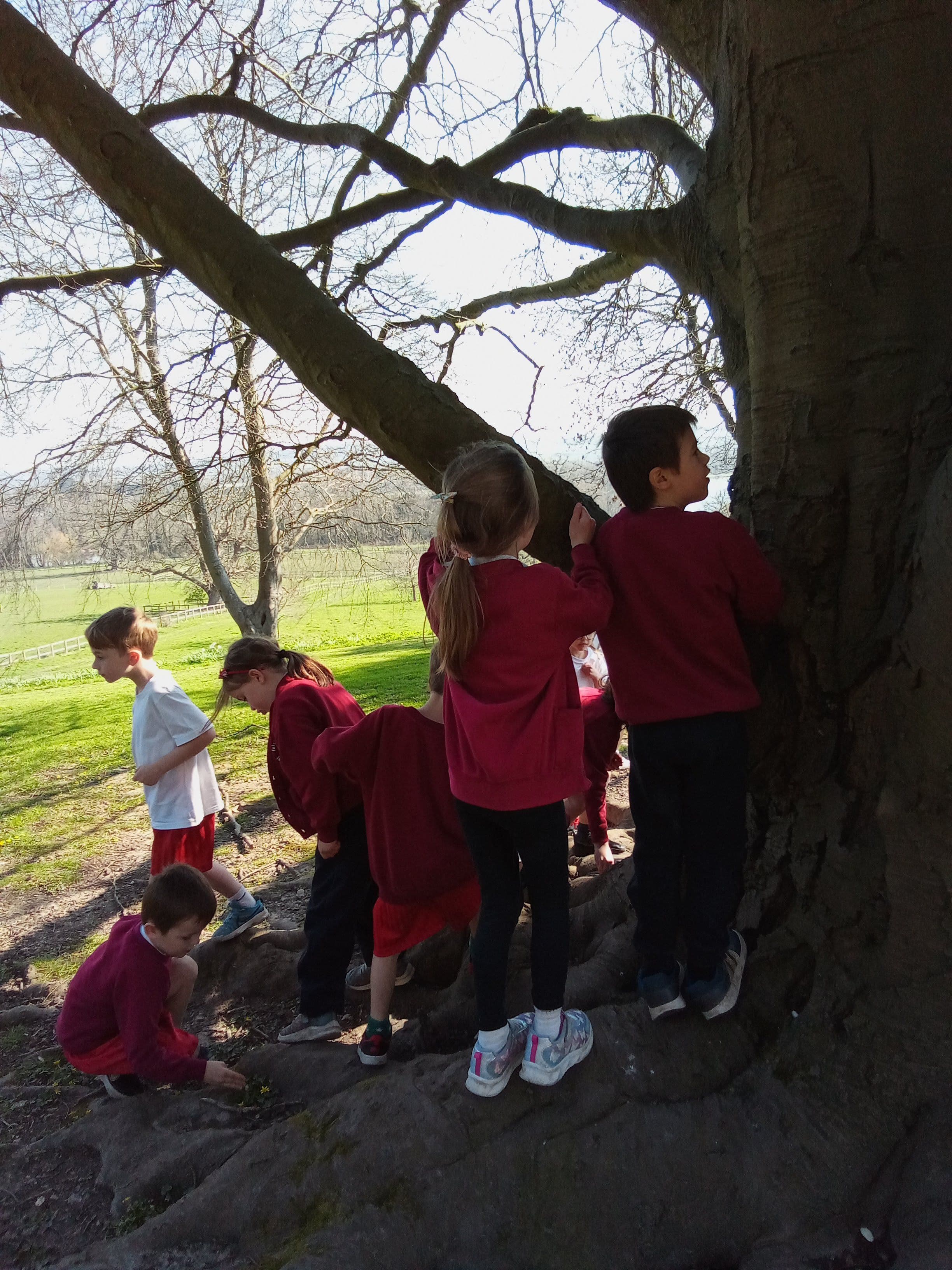 Hedgehogs class photo