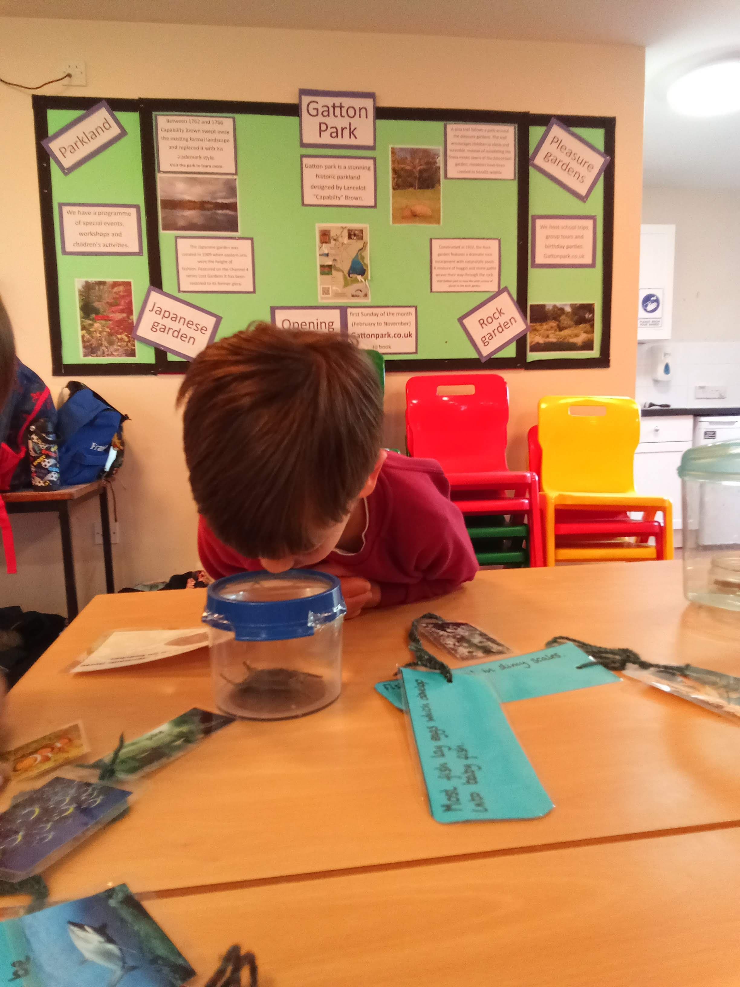 Hedgehogs class photo