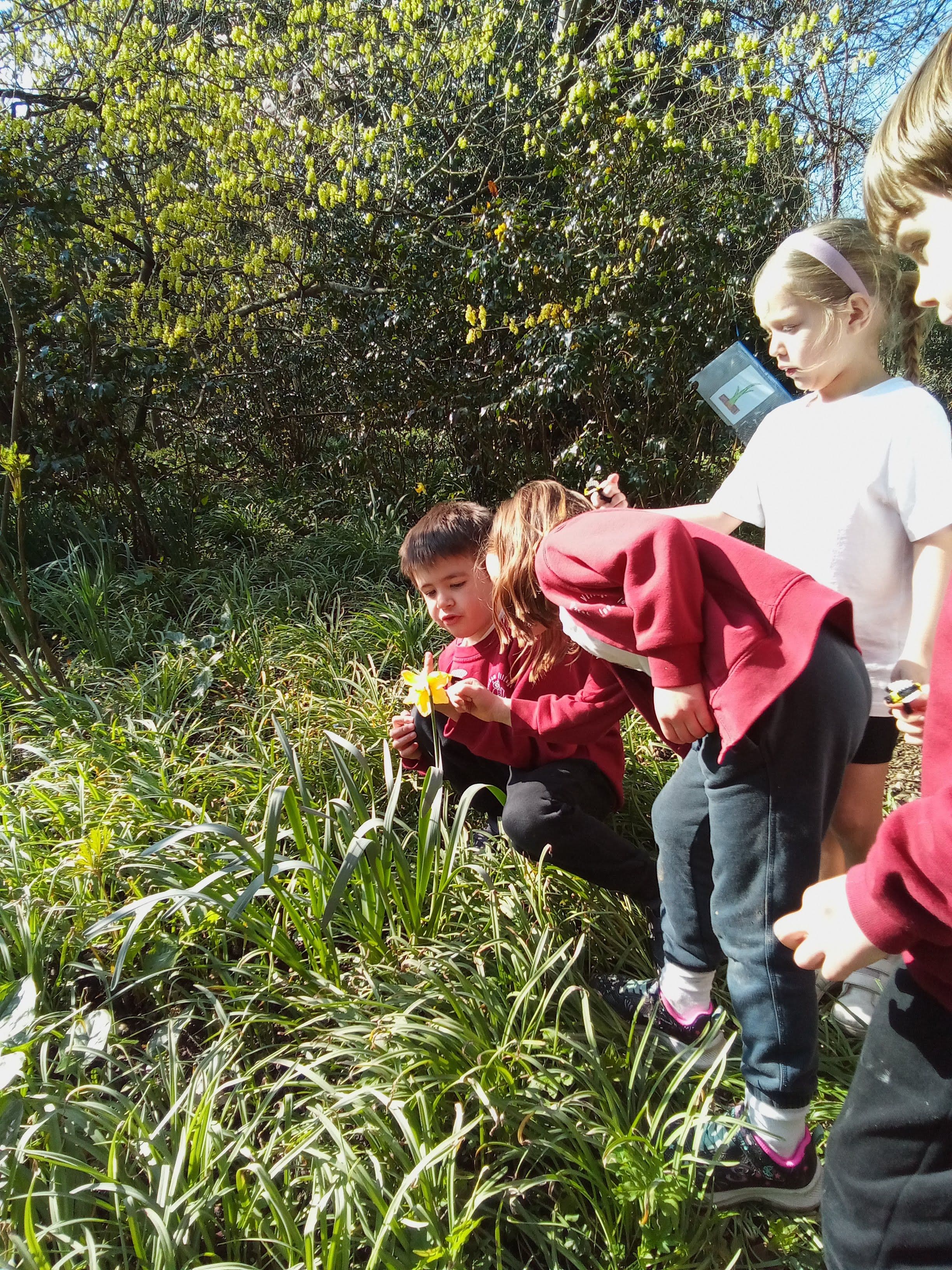 Hedgehogs class photo