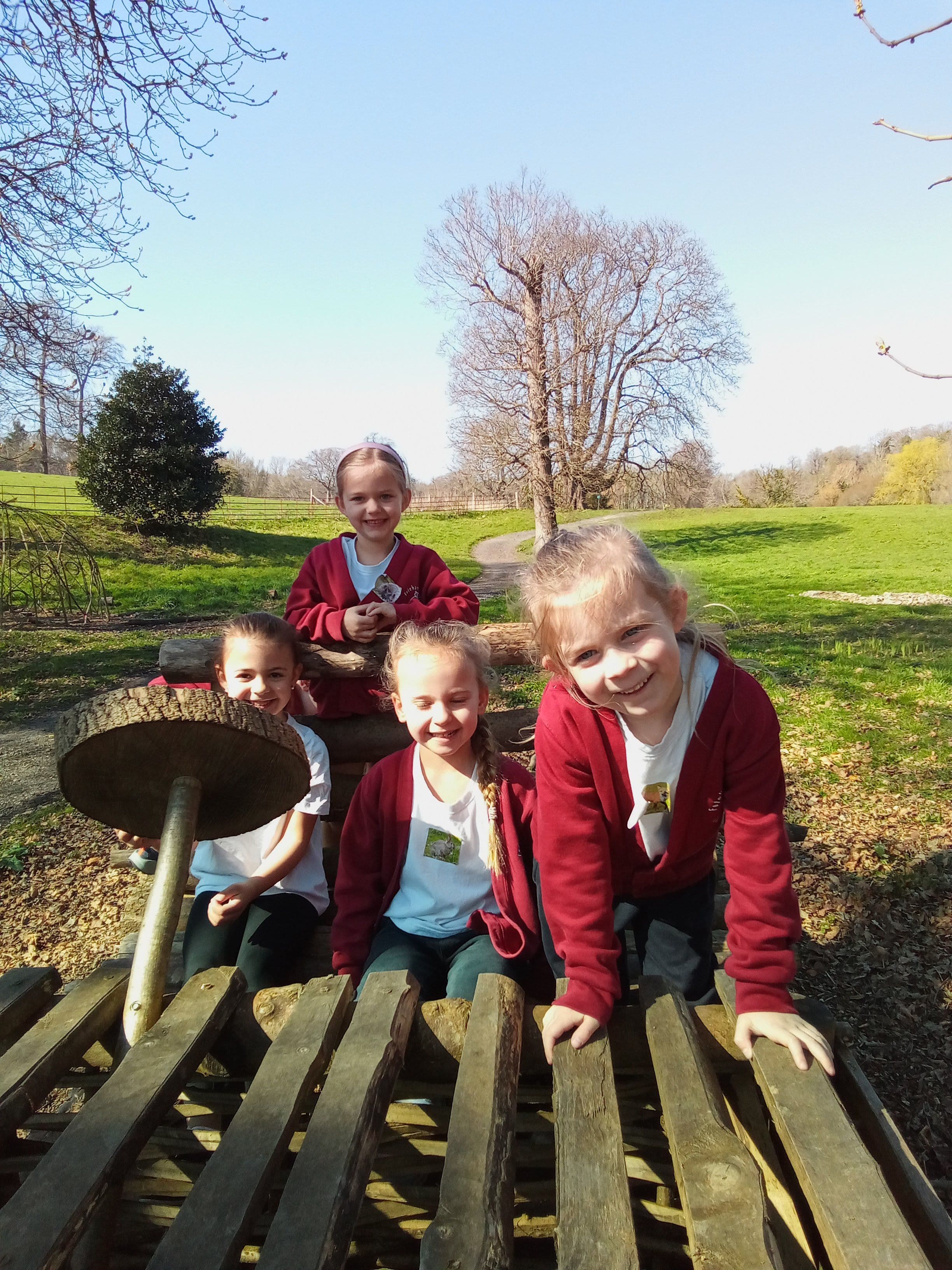 Hedgehogs class photo