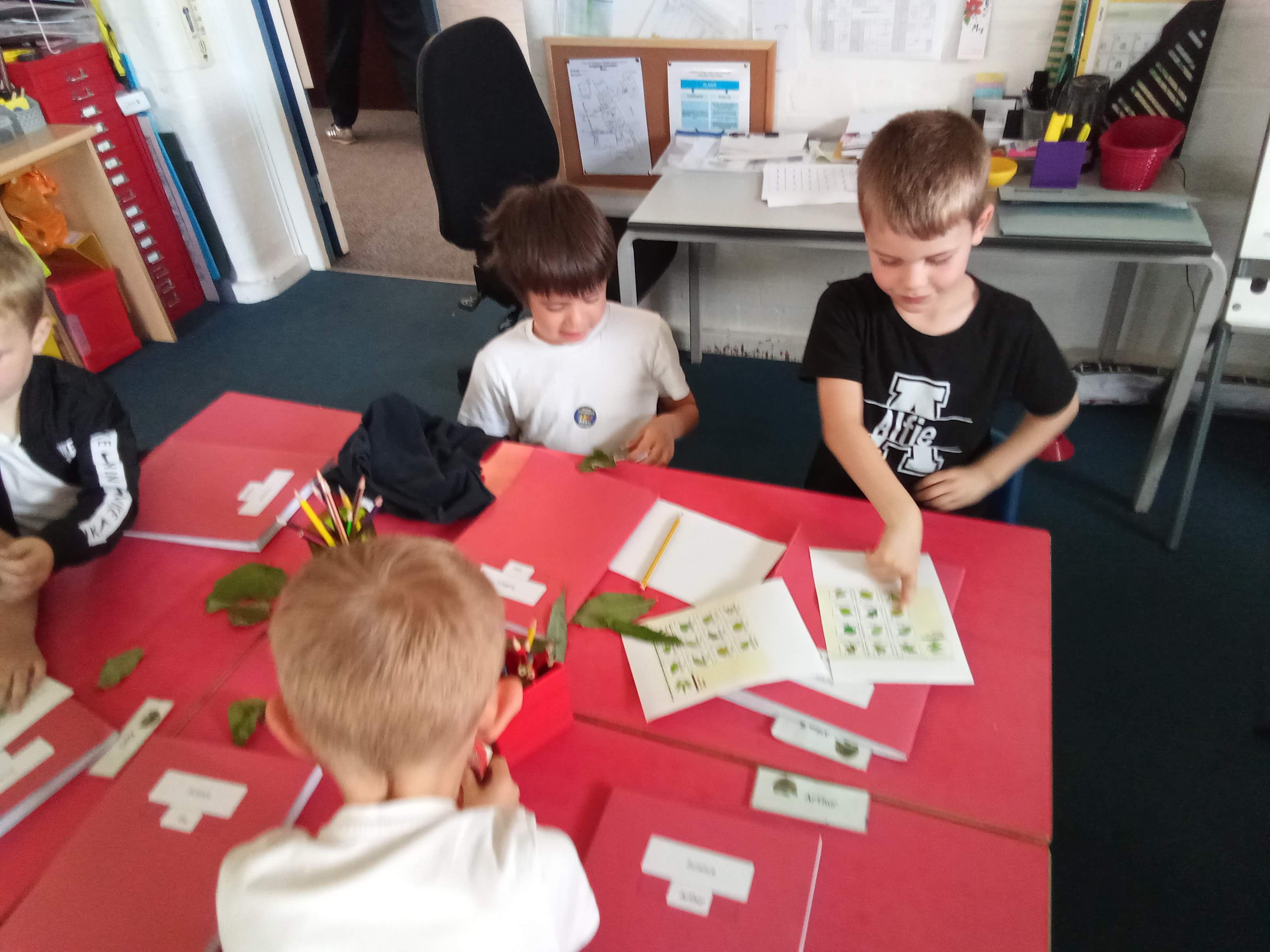 Hedgehogs class photo